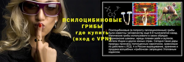 прущие грибы Шадринск