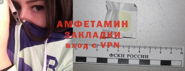 ГАЛЛЮЦИНОГЕННЫЕ ГРИБЫ Щучье
