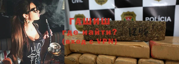 дмт Щигры