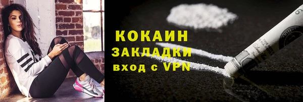 дмт Щигры