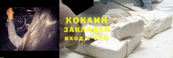 дмт Щигры