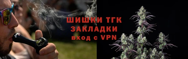 крисы Шарыпово