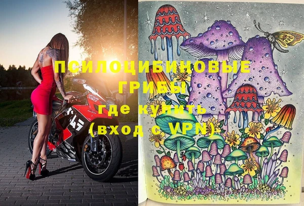прущие грибы Кстово