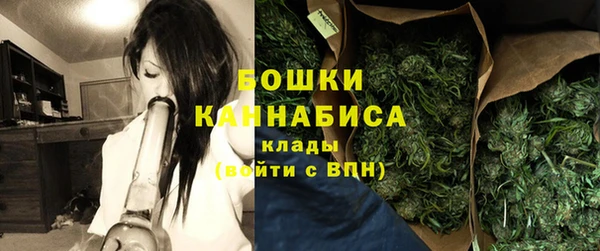 ГАЛЛЮЦИНОГЕННЫЕ ГРИБЫ Щучье