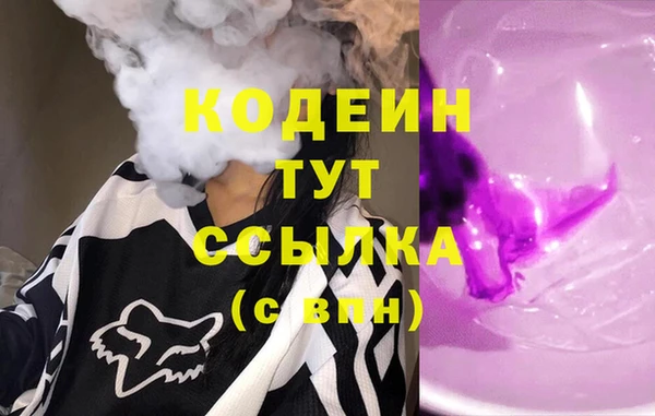 ГАЛЛЮЦИНОГЕННЫЕ ГРИБЫ Щучье