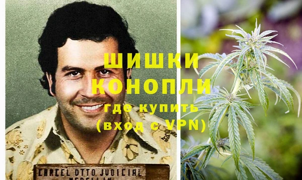 прущие грибы Шадринск
