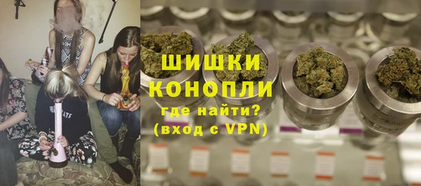 дмт Щигры