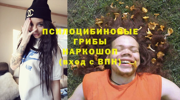 ГАЛЛЮЦИНОГЕННЫЕ ГРИБЫ Щучье