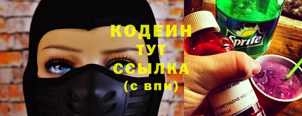 прущие грибы Шадринск