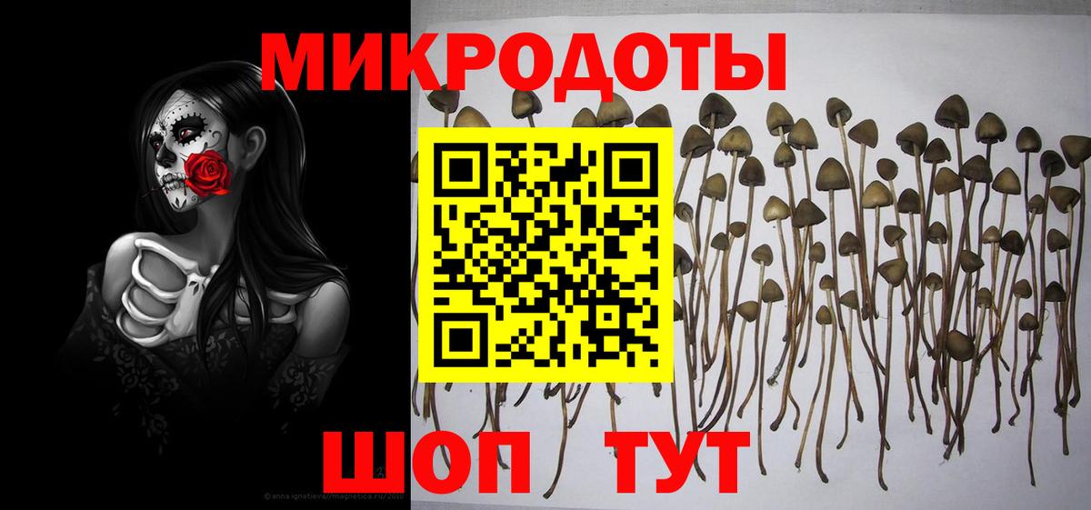 Галлюциногенные грибы Magic Shrooms Верхняя Салда