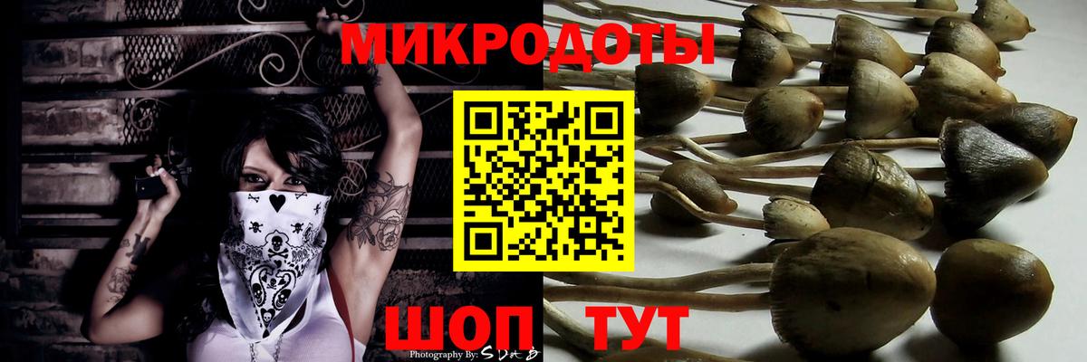 Псилоцибиновые грибы мицелий Верхняя Салда